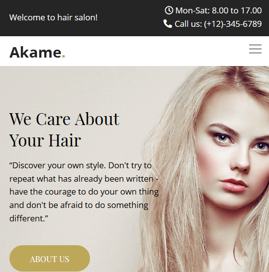 Screenshot of the Akame website, it is also a link to Netlify